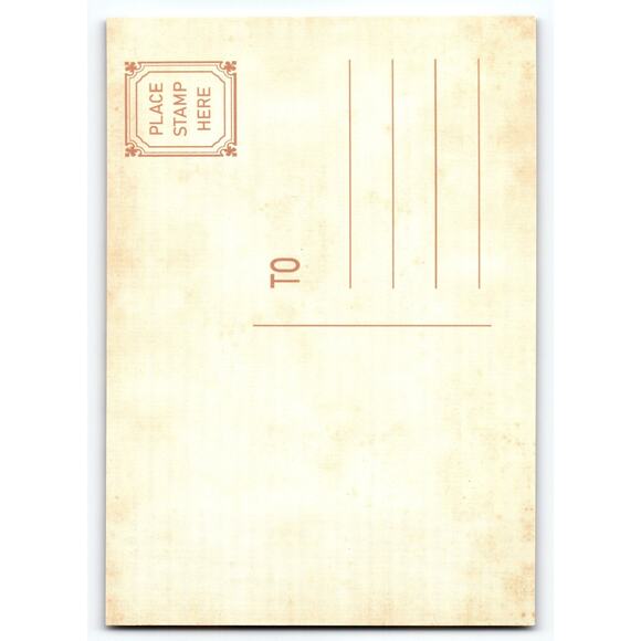 Vintage Halloween Postcard Grim Reaper with Pumpkins Photochrome - Picture 2 of 2